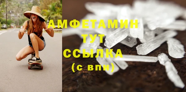 ПСИЛОЦИБИНОВЫЕ ГРИБЫ Инта