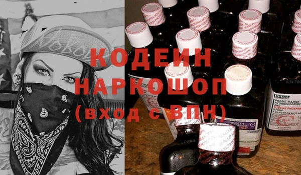 ПСИЛОЦИБИНОВЫЕ ГРИБЫ Инта
