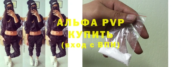 ПСИЛОЦИБИНОВЫЕ ГРИБЫ Инта