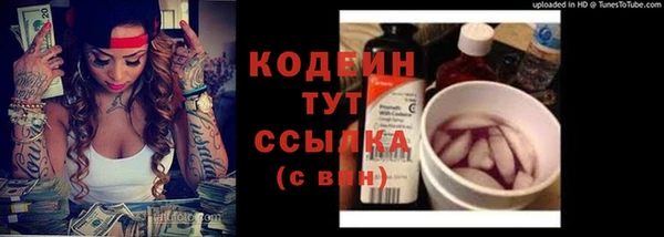 ПСИЛОЦИБИНОВЫЕ ГРИБЫ Инта