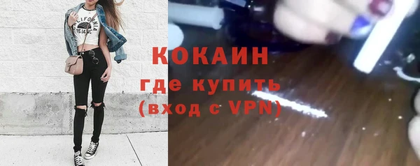 ПСИЛОЦИБИНОВЫЕ ГРИБЫ Инта