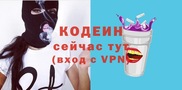 дживик Иннополис