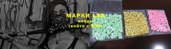 ПСИЛОЦИБИНОВЫЕ ГРИБЫ Инта