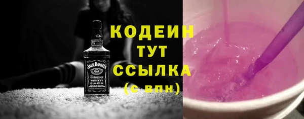 дживик Иннополис