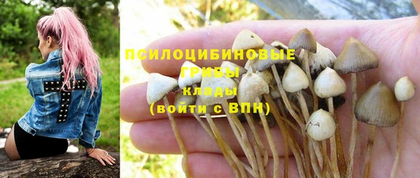 дживик Иннополис