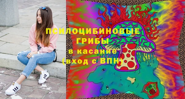 ПСИЛОЦИБИНОВЫЕ ГРИБЫ Инта