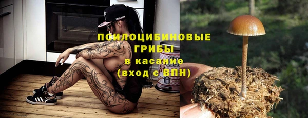 ПСИЛОЦИБИНОВЫЕ ГРИБЫ Инта