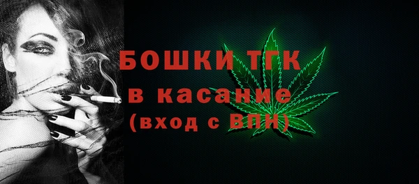 ПСИЛОЦИБИНОВЫЕ ГРИБЫ Инта