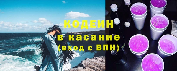 ПСИЛОЦИБИНОВЫЕ ГРИБЫ Инта